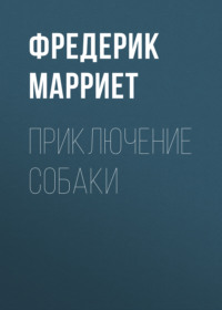. Приключение собаки