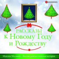 . Вполне рождественская история