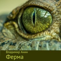 Владимир Анин. Ферма