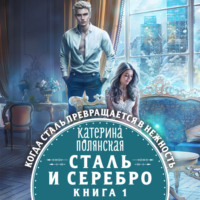 . Сталь и серебро. Книга 1