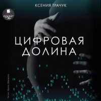 . Цифровая долина
