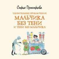 . Удивительные приключения мальчика без тени и тени без мальчика