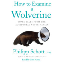 . How to Examine a Wolverine - More Tales from the Accidental Veterinarian (Unabridged)