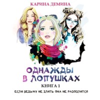. Однажды в Лопушках (книга 1)