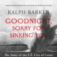 . Goodnight, Sorry for Sinking You (Unabridged)