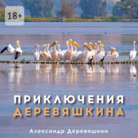 . Приключения Деревяшкина