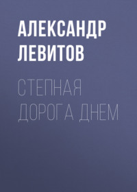. Степная дорога днем