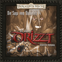 . DRIZZT, Folge 14: Gef?hrliche Begegnung