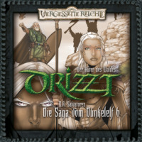 . DRIZZT, Folge 6: Der H?ter des Waldes