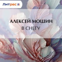. В снегу