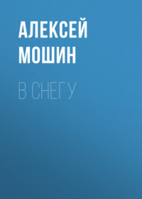 . В снегу