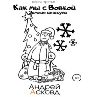 . Как мы с Вовкой. Зимние каникулы. Книга третья