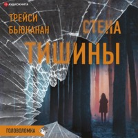 . Стена тишины