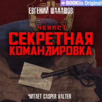 . Чекист. Секретная командировка.