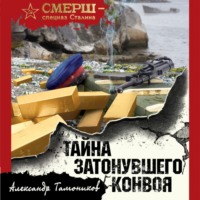 . Тайна затонувшего конвоя
