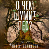 . О чем шумит лес?