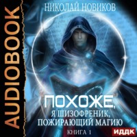 Николай Новиков. Похоже, я шизофреник, пожирающий магию. Книга 1
