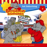 . Benjamin Bl?mchen, Folge 9: Benjamin hat Geburtstag