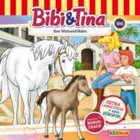 . Bibi & Tina, Folge 100: Das Waisenfohlen