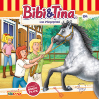 . Bibi & Tina, Folge 104: Das Pflegepferd