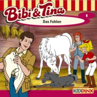 . Bibi & Tina, Folge 1: Das Fohlen