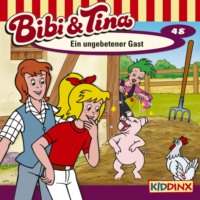 . Bibi & Tina, Folge 48: Ein ungebetener Gast