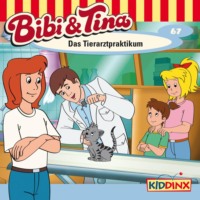 . Bibi & Tina, Folge 67: Das Tierarztpraktikum