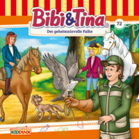 . Bibi & Tina, Folge 72: Der geheimnisvolle Falke