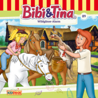 . Bibi & Tina, Folge 89: Wildg?nse-Alarm