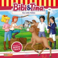 . Bibi & Tina, Folge 93: Das wilde Fohlen