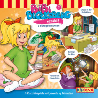 . Bibi Blocksberg, Bibi erz?hlt, Folge 7: B?rogeschichten