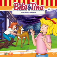 . Bibi & Tina, Folge 87: Das gro?e Unwetter