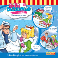 . Bibi Blocksberg, Bibi erz?hlt, Folge 13: Schneegeschichten