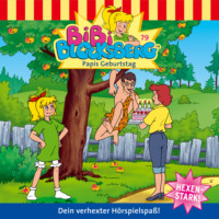 . Bibi Blocksberg, Folge 79: Papis Geburtstag