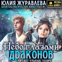 Юлия Журавлева. Небо глазами драконов