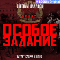 . Чекист. Особое задание
