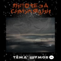 . Гипотеза симуляции
