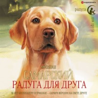 . Радуга для друга