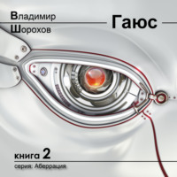 Владимир Леонидович Шорохов. Гаюс