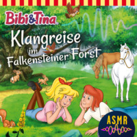 . Bibi & Tina, Folge 1: Klangreise im Falkensteiner Forst