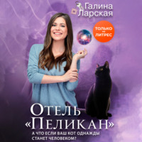 . Отель «Пеликан»