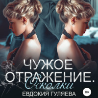 . Чужое отражение. Осколки