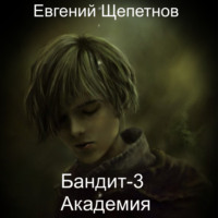 . Бандит-3. Академия
