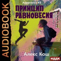 . Принцип Равновесия