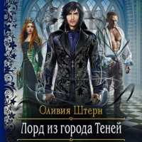 . Лорд из города Теней