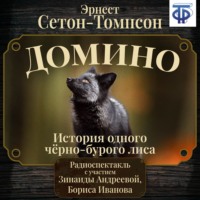 . Домино. История одного черно-бурого лиса (спектакль)