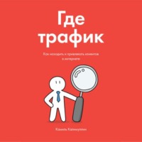 Камиль Калимуллин. Где трафик. Как находить и привлекать клиентов в интернете