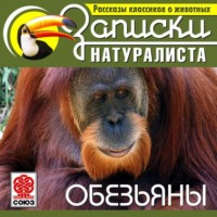 Коллектив авторов. Рассказы классиков о животных. Обезьяны