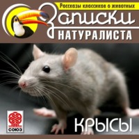 Коллектив авторов. Рассказы классиков о животных. Крысы