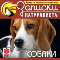 . Рассказы классиков о животных. Собаки